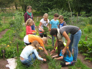 Sommerferienangebot des Lernort Bauernhof (Foto: Hofgut Oberfeld)