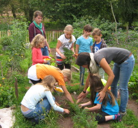 Sommerferienangebot des Lernort Bauernhof (Foto: Hofgut Oberfeld)