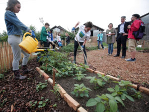 Die Bürgerstiftung Darmstadt hat ein Projekt mit Jugendlichen am Oberfeld gefördert - unter anderem wurde ein Flächenbuffet angelegt