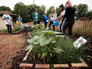 Die Bürgerstiftung Darmstadt hat ein Projekt mit Jugendlichen am Oberfeld gefördert - unter anderem wurde ein Flächenbuffet angelegt