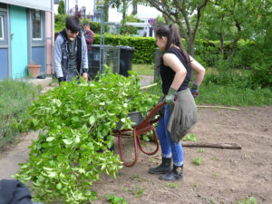 Garten- und Bienenprojekt (Erich Kästner-Schule)