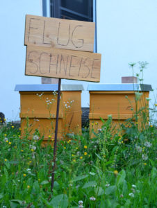 Garten- und Bienenprojekt (Erich Kästner-Schule)