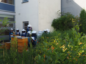 Garten- und Bienenprojekt (Erich Kästner-Schule)